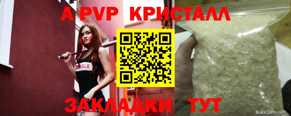 Альфа ПВП СК Ленинск-Кузнецкий
