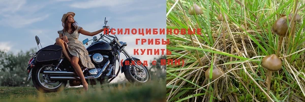 MESCALINE Приозерск