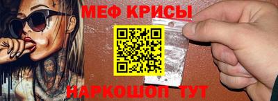 гашик Кингисепп
