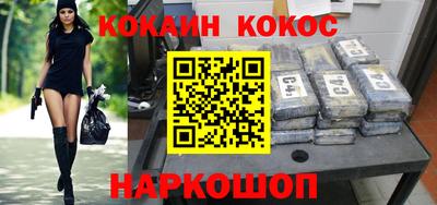 гашик Кингисепп