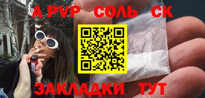 гашик Кингисепп
