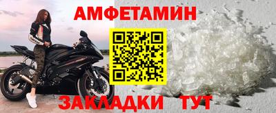 гашик Кингисепп