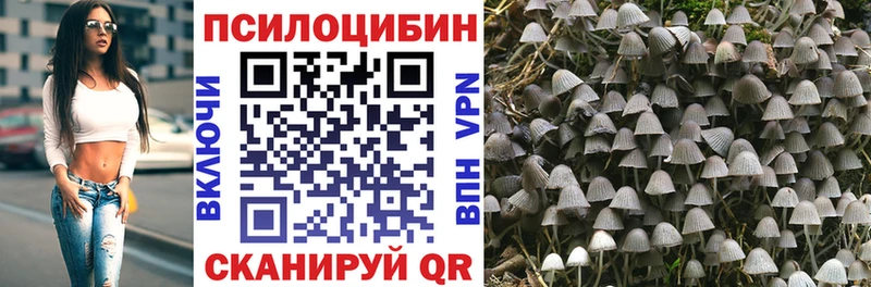 даркнет сайт блэк спрут Псилоцибиновые грибы мицелий Ленинск-Кузнецкий