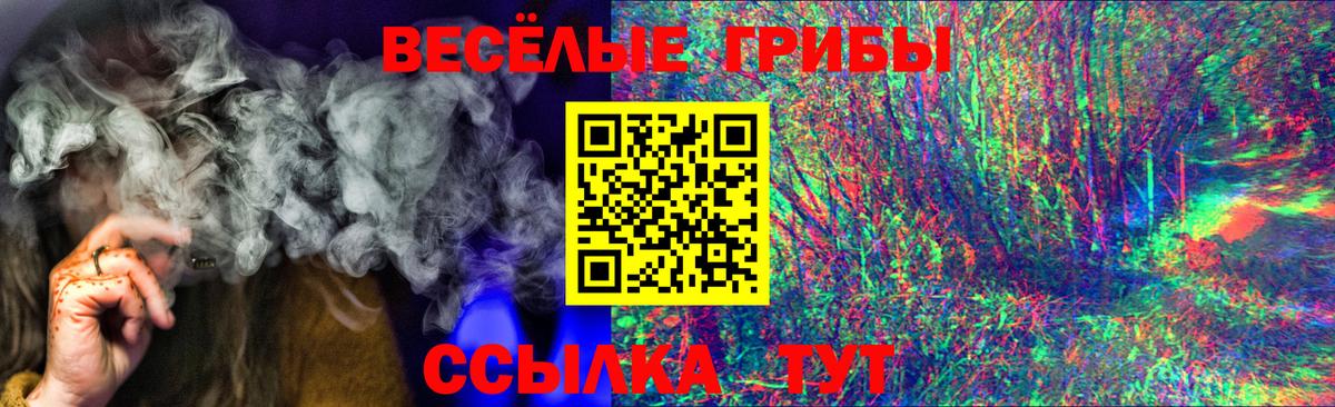 Галлюциногенные грибы MAGIC MUSHROOMS  цены   Ленинск-Кузнецкий  Вход с VPN  Галлюциногенные грибы GOLDEN TEACHER 