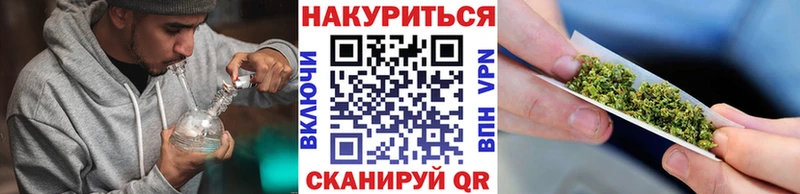 Бошки Шишки план  продажа наркотиков  Ленинск-Кузнецкий 